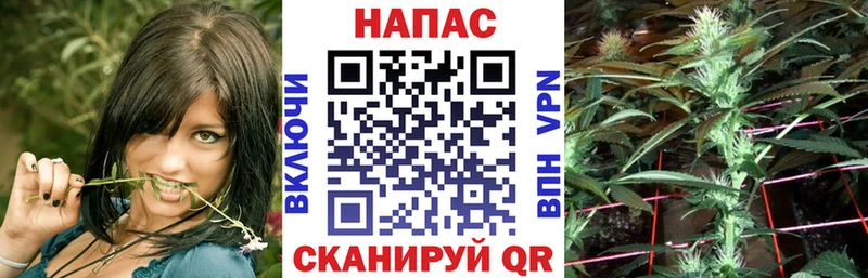 Купить закладку ГАШ  COCAIN  A-PVP  Марихуана  Мефедрон  Свободный