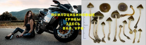 мдпв Гусиноозёрск