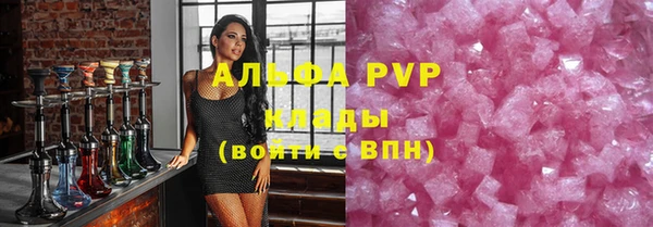 дживик Гусев