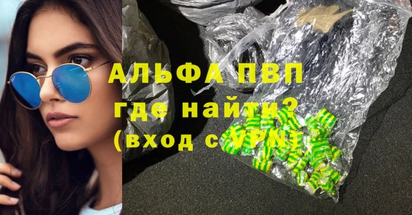 дживик Гусев