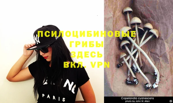 мдпв Гусиноозёрск