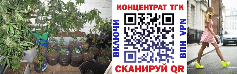 ТГК Wax  Купить где  Свободный 